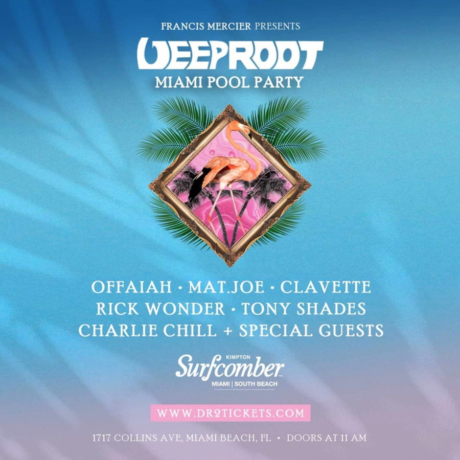 Deep Root Records Miami Pool Party Image