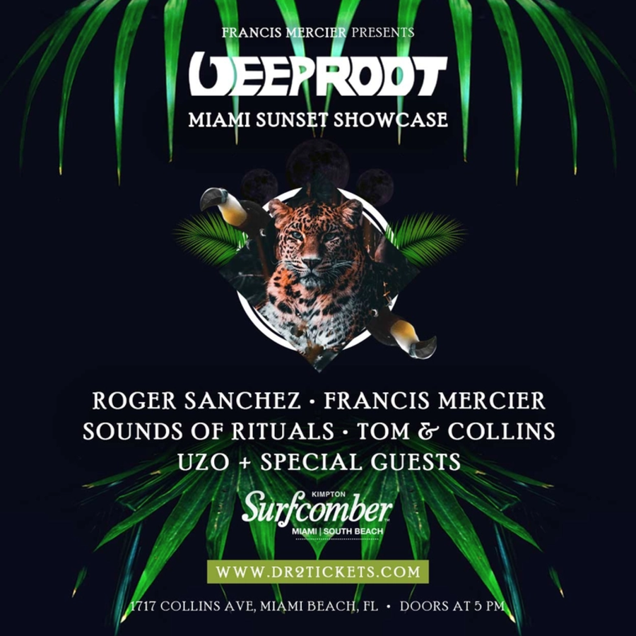Deep Root Records Miami Sunset Beach Party Image
