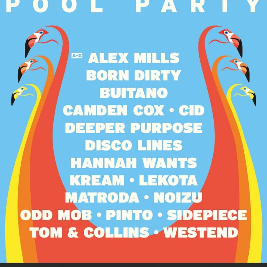 Miami Pool Party  Image
