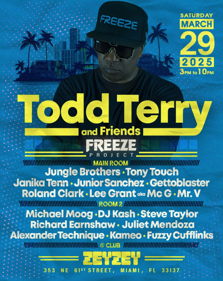 Todd Terry & Friends: Freeze Project Image