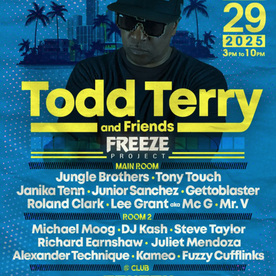 Todd Terry & Friends: Freeze Project Image