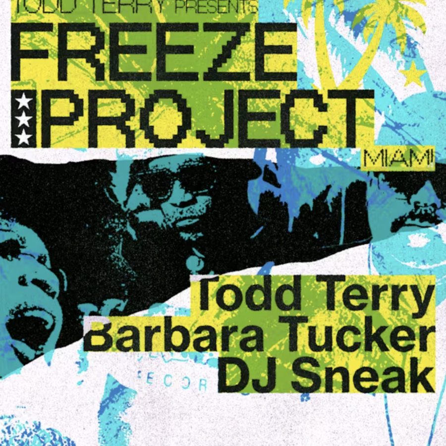 Todd Terry & Friends: Freeze Project (Night Swim Rooftop) Image