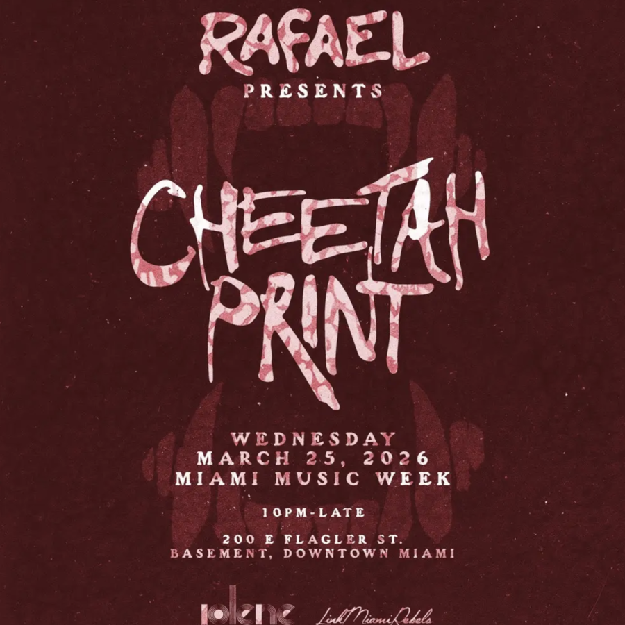 Cheetah Print: Rafael Image