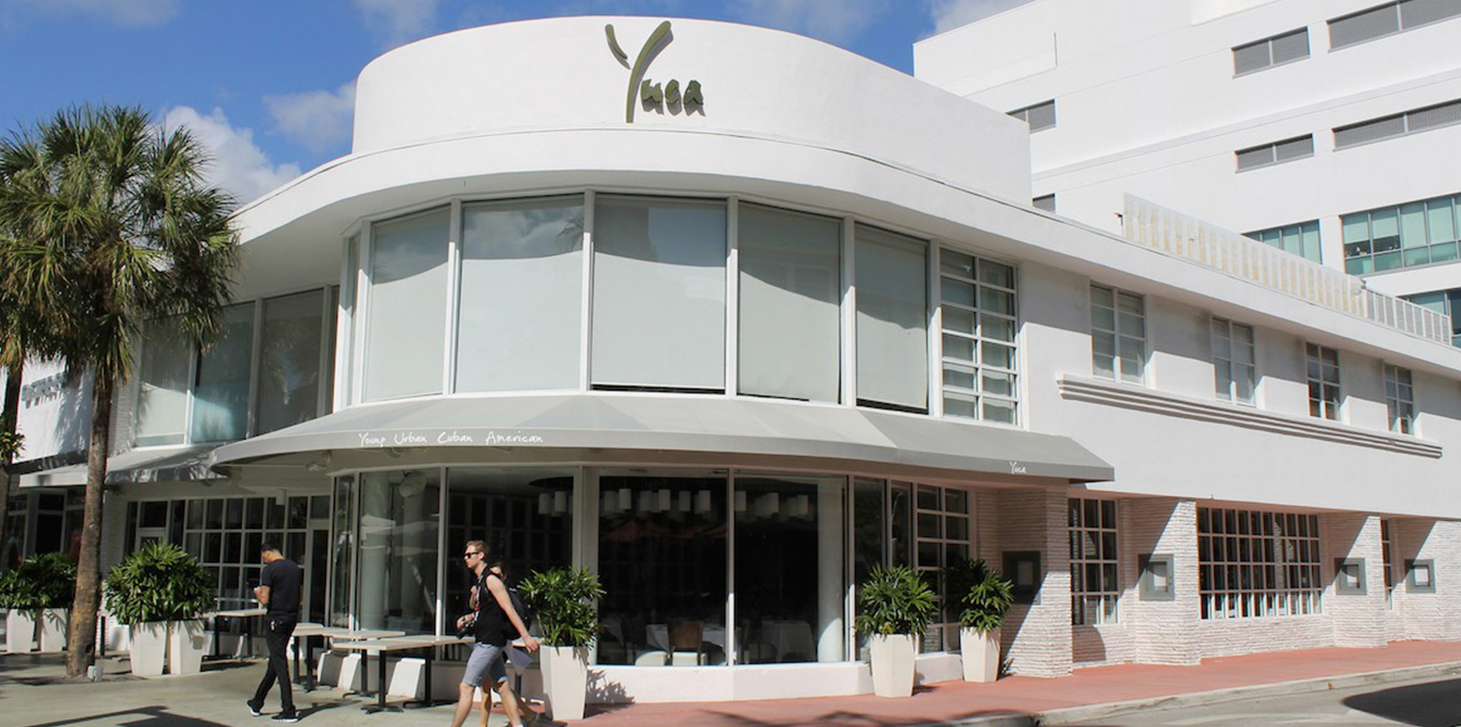 Yuca Image Yuca Image